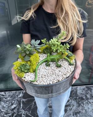 Composition of succulents №22 - flowers delivery Dubai