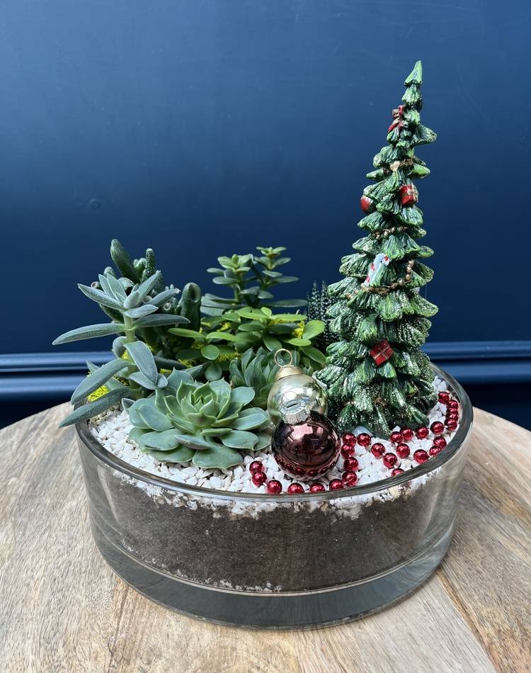 composition "Christmas Tree in an Oasis of Miracles"