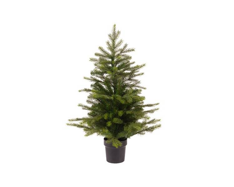 Spruce in a pot "Grandis mini", 90 cm