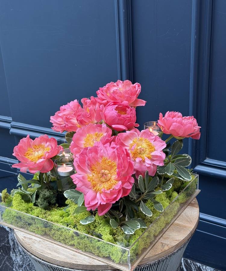 gift box of peonies 