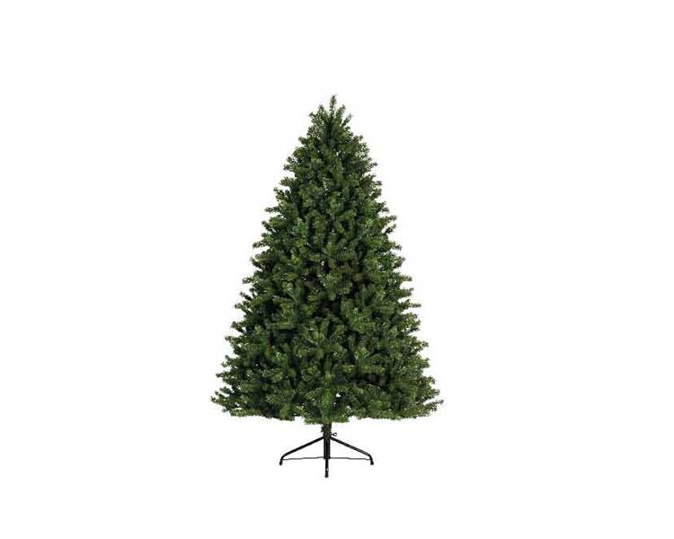 Spruce "Freiburgskaya", 300 cm