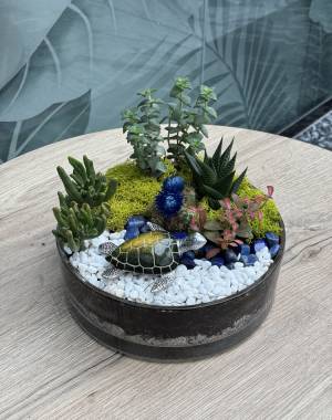 Composition of succulents №7 - flowers delivery Dubai