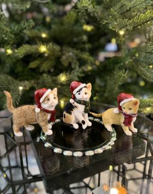 Cats w.x-mas hat poly in assortment - flowers delivery Dubai