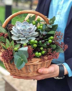 Succulents in a Basket - flowers delivery Dubai