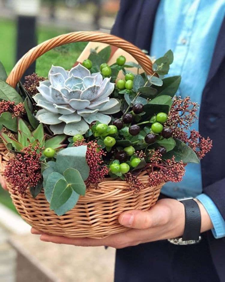 Succulents in a Basket