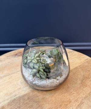 Composition of succulents No. 35 - flowers delivery Dubai