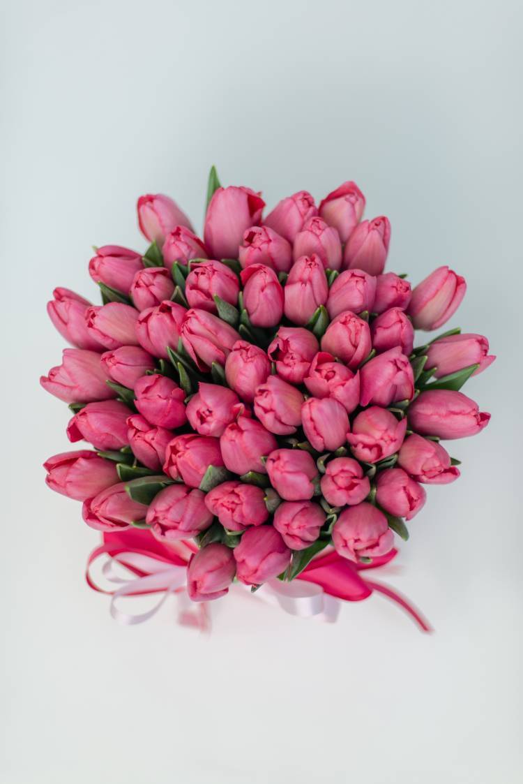 51 Pink Tulips in a Hat Box