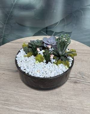 Composition of succulents №15 - flowers delivery Dubai