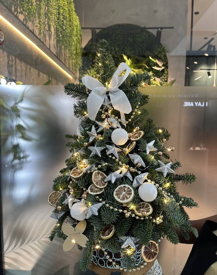 FRESH Christmas tree 