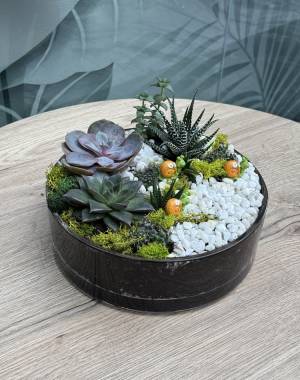Composition of succulents №13 - flowers delivery Dubai