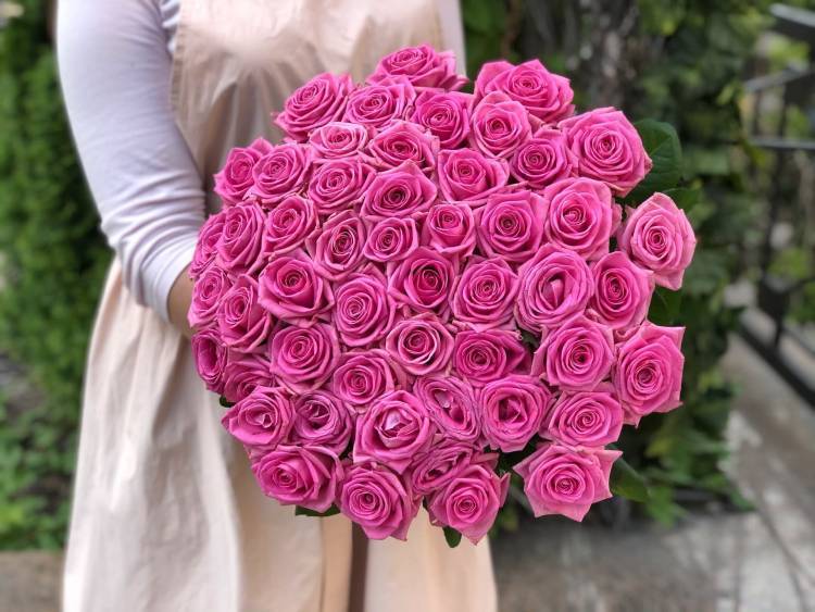 bouquet of 51 pink roses