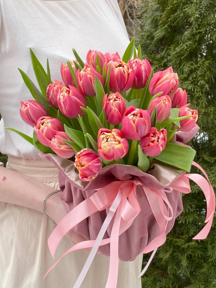 25 pink-purple peony tulips in velvet bag