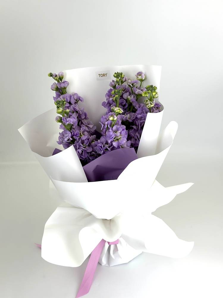 Bouquet of 7 lilac matiols