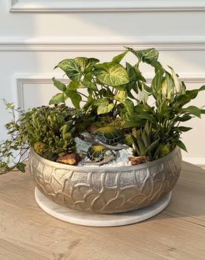 Composition of succulents №11 - flowers delivery Dubai