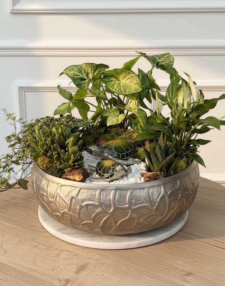 Composition of succulents №11