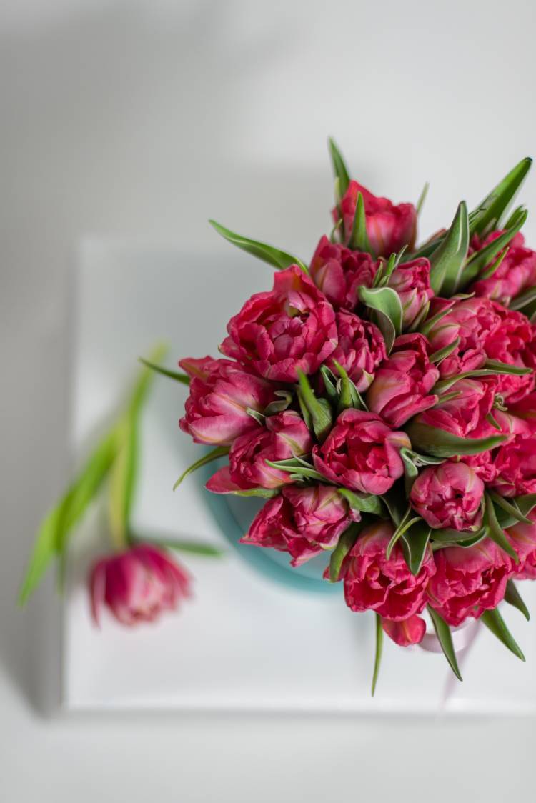 25 Pink Peony Tulips in a Hat Box