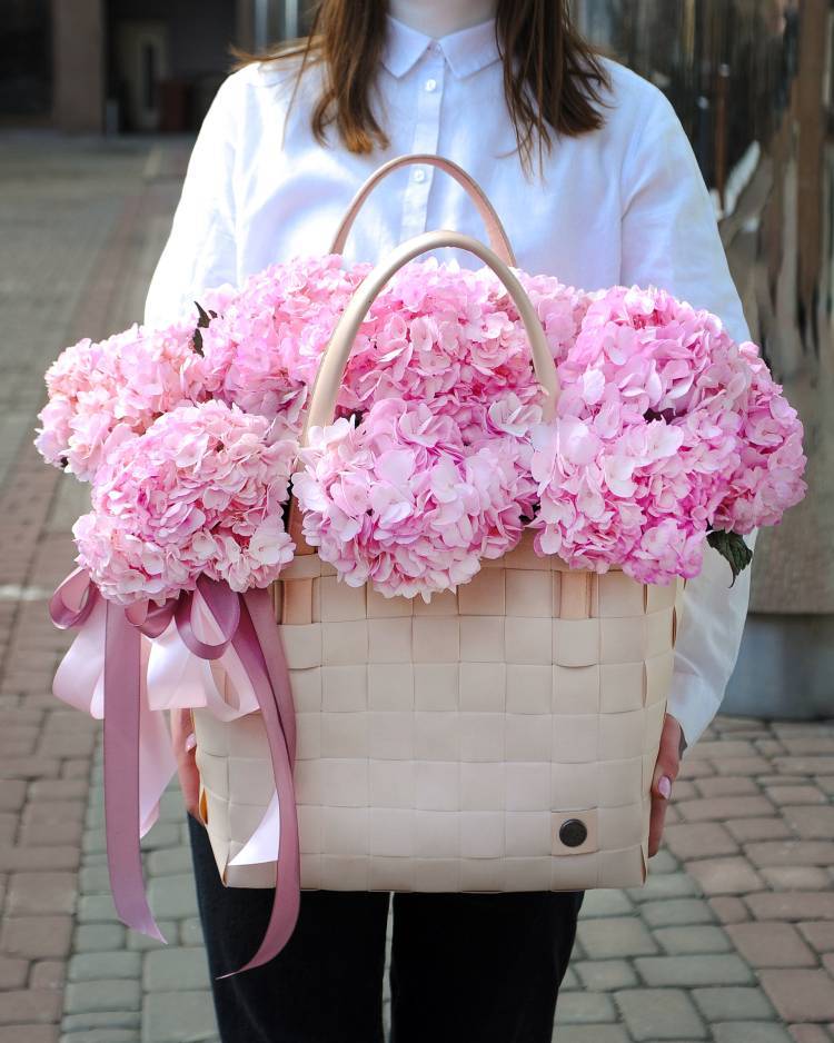 11 pink hydrangeas in a bag