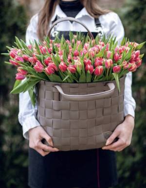 Tulips in a Bag 