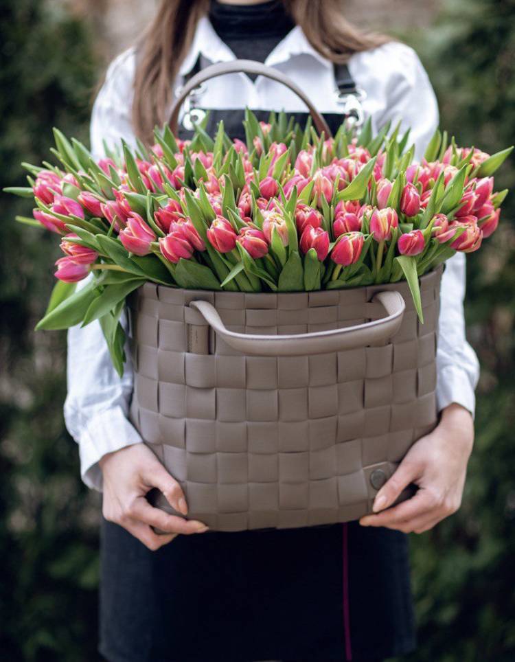 Tulips in a Bag "Time to Love"
