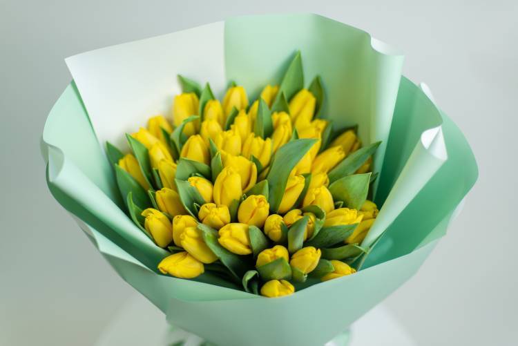 Bouquet 51 yellow tulip