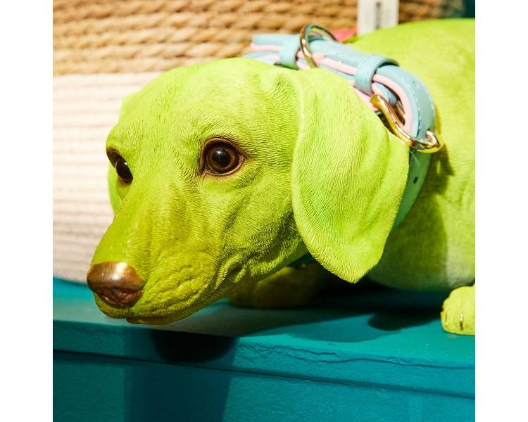 Dog Lasso w. collar, green