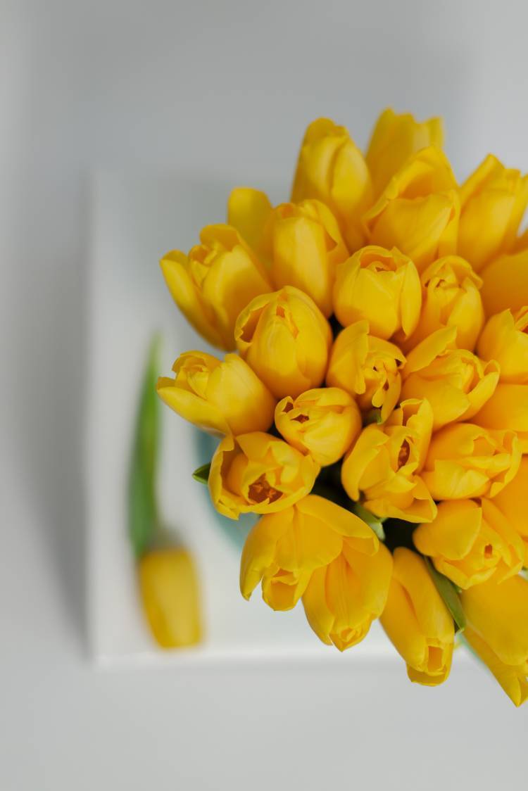 35 Yellow Tulips in a Hat Box