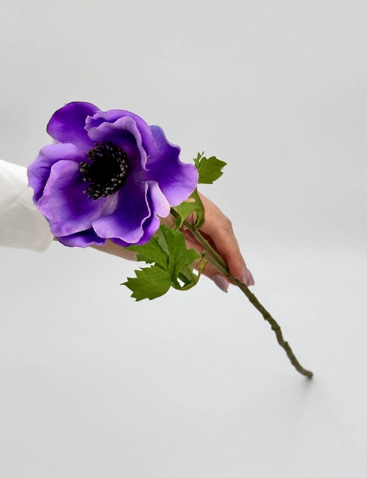 Branch Anemone purple, 60 cm