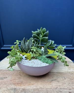 Composition of succulents №24 - flowers delivery Dubai