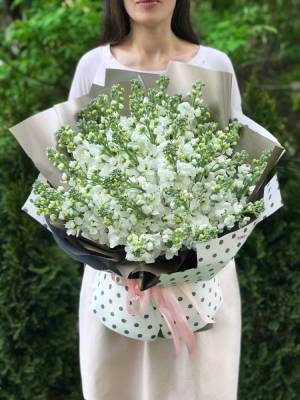 Bouquet of 51 white matthiola - flowers delivery Dubai