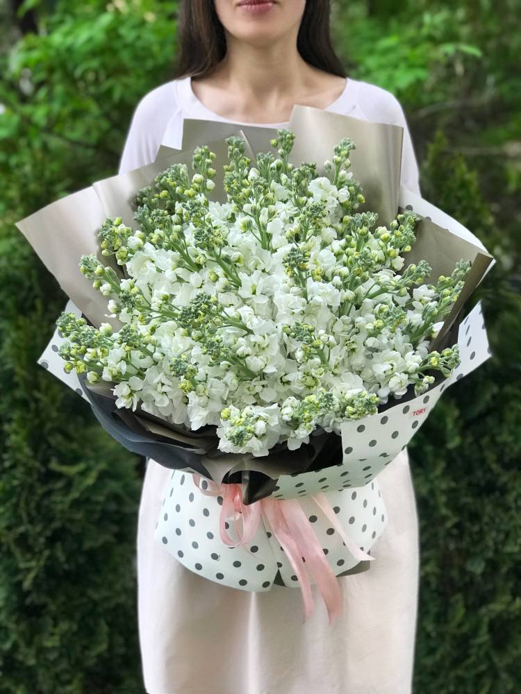Bouquet of 51 white matthiola
