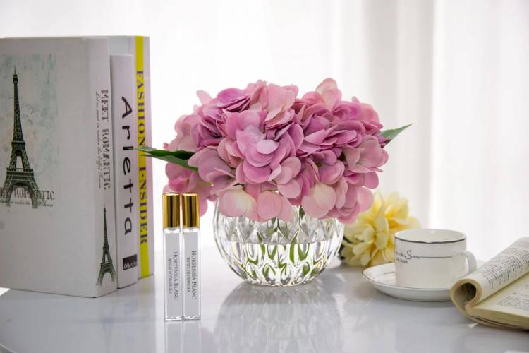 Flowers in a vase Hydrangeas Mauve in Clear glass