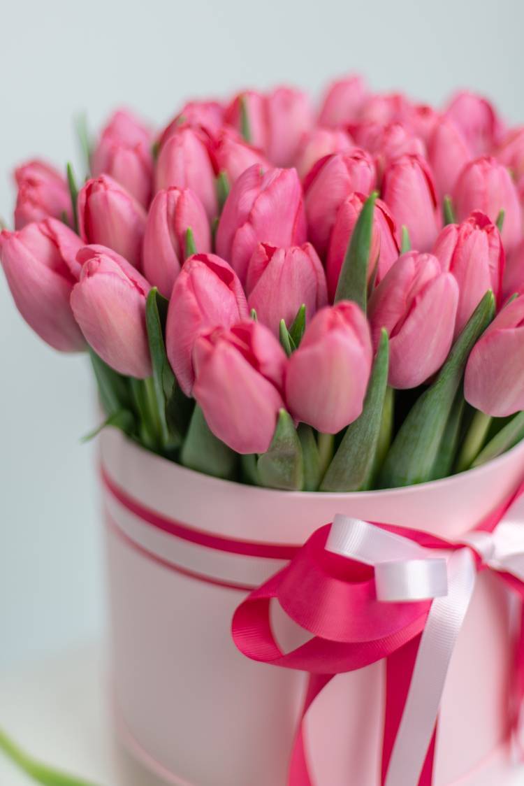 51 Pink Tulips in a Hat Box