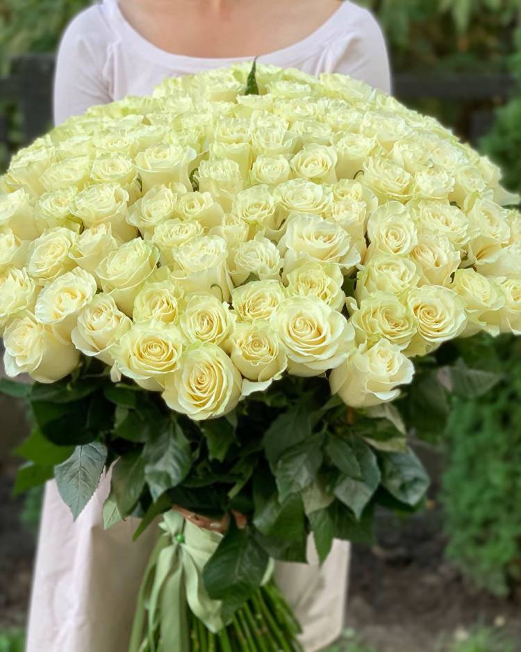 Bouquet of 101 import white roses 80 cm