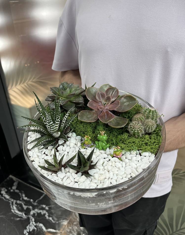 Composition of succulents №3