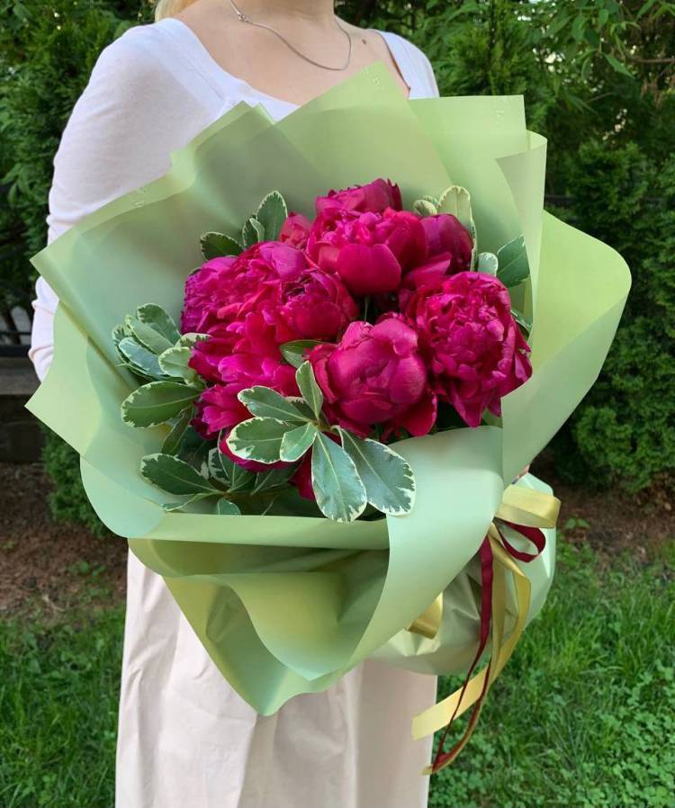 Bouquet of 11 burgundy peonies