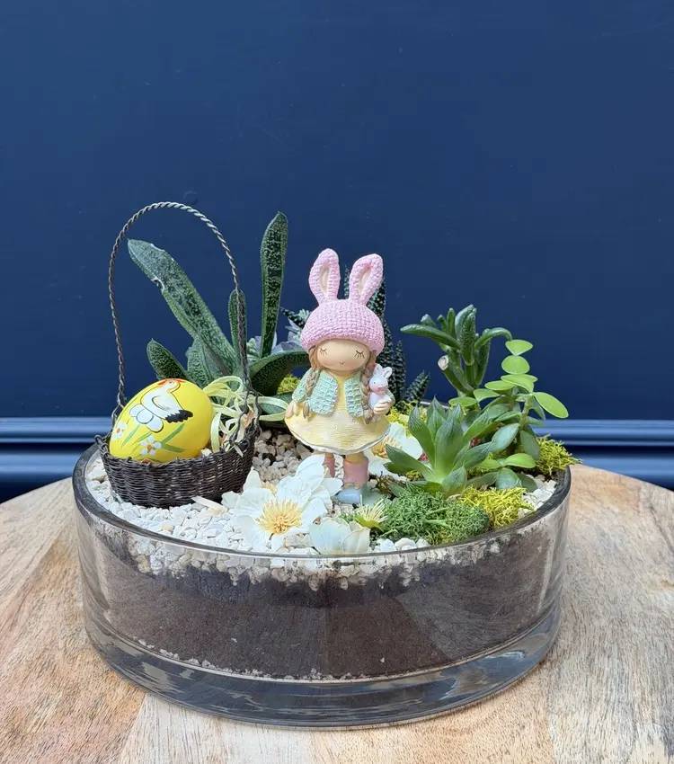 Easter composition succulents 