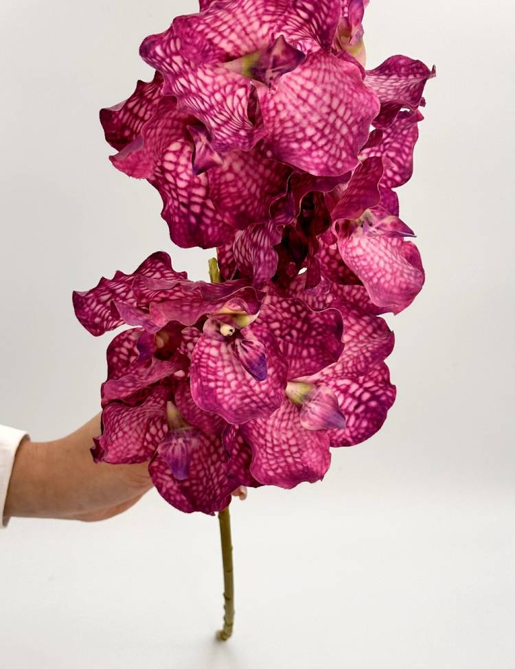 Branch Orchid spray purple, 79 cm