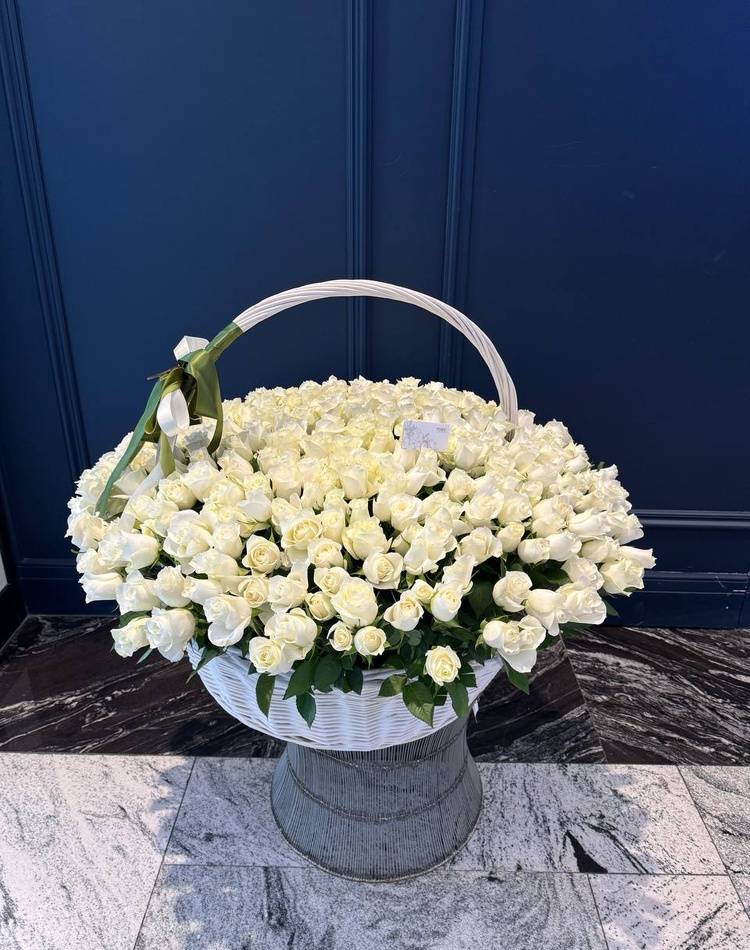 301 white roses in a basket