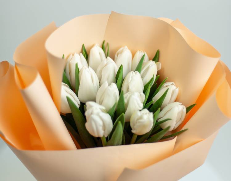 15 white tulips