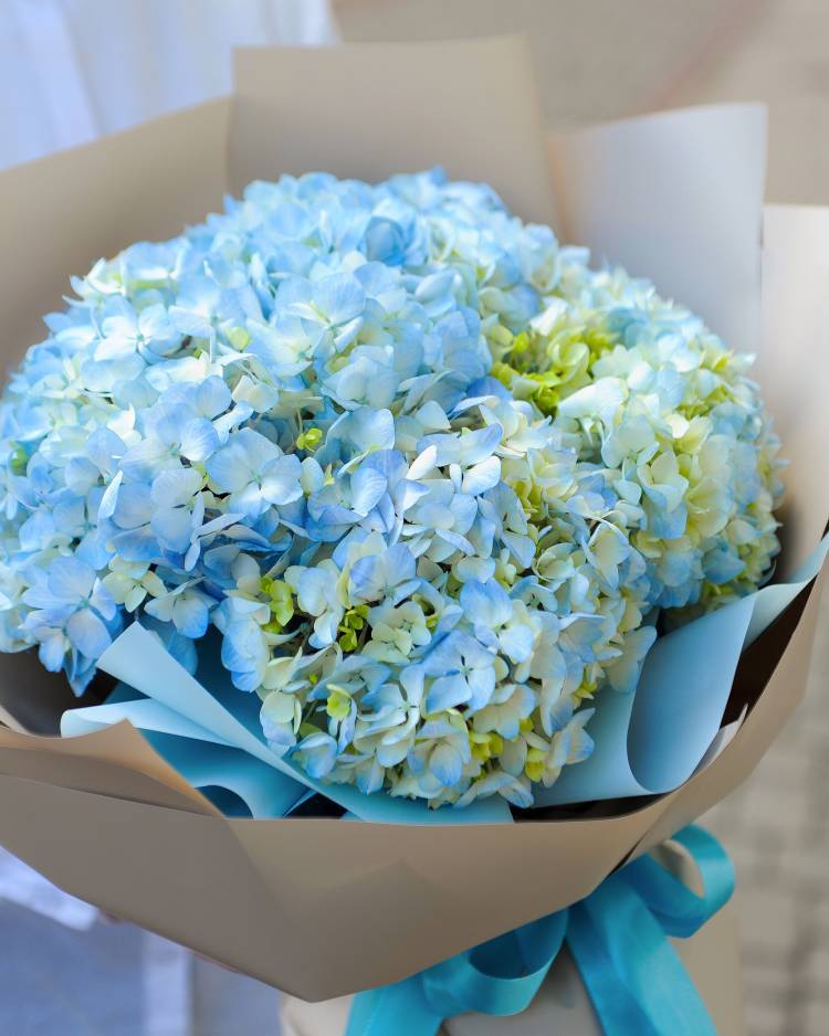 Bouquet of 7 blue hydrangeas