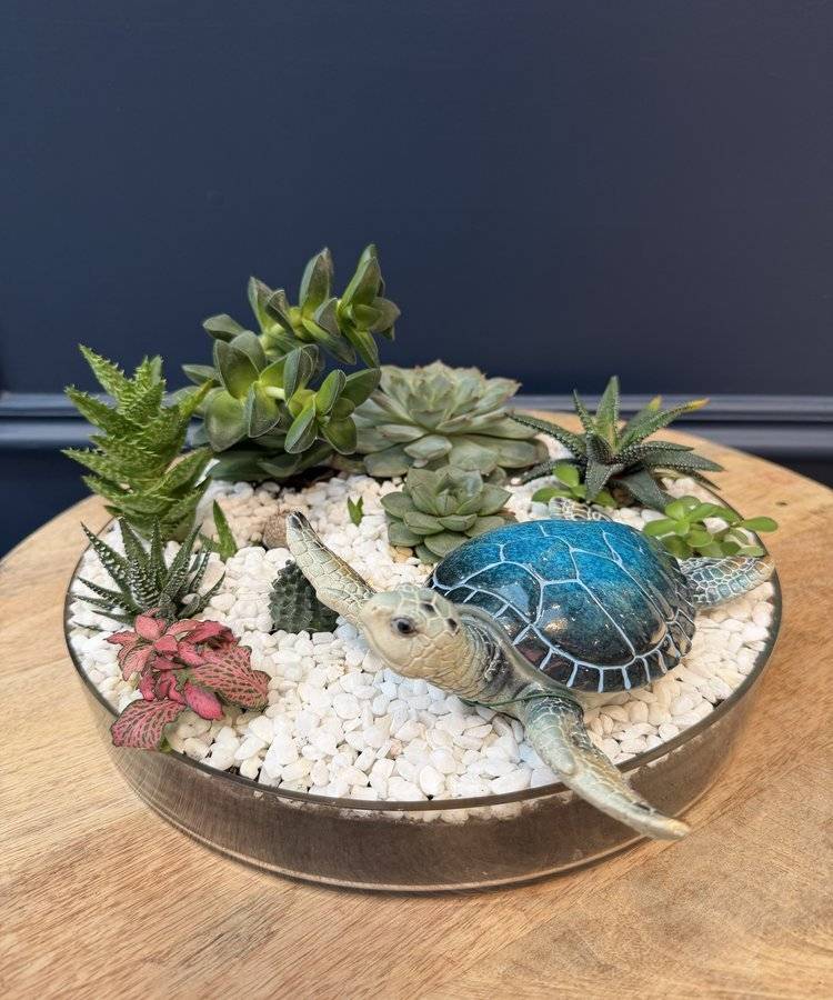 Composition of succulents No. 41