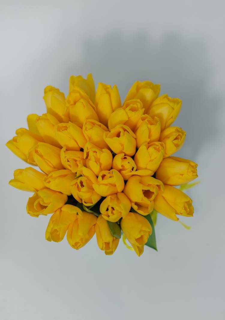 35 Yellow Tulips in a Hat Box