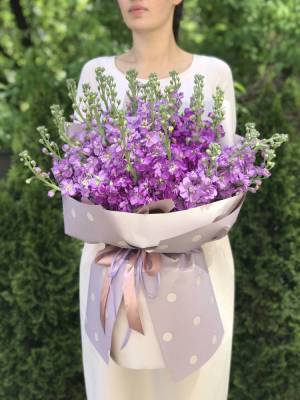 Bouquet of 35 purple matthiola - flowers delivery Dubai