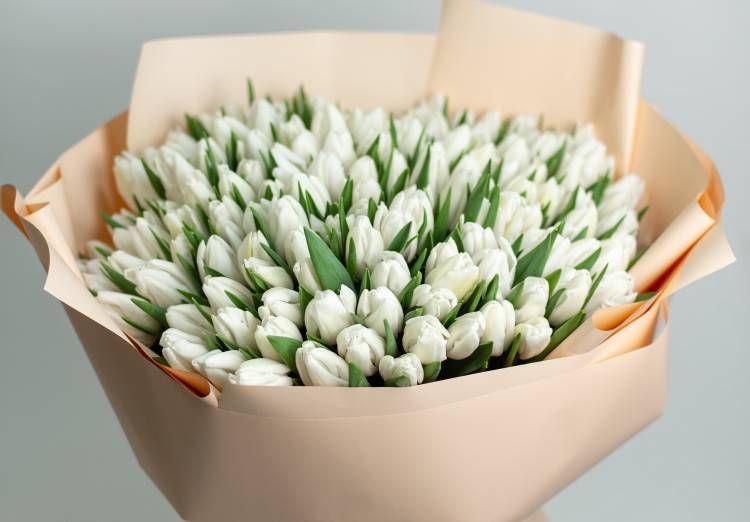 Bouquet 201 white tulip